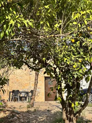 a table and chairs in front of a building with an orange tree at Stone House Experience in Voúvai