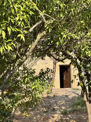 a building with a door in the middle of trees at Stone House Experience in Voúvai