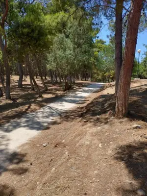 a dirt road with trees on either side at Hillside Escape by the Sea in Daratso