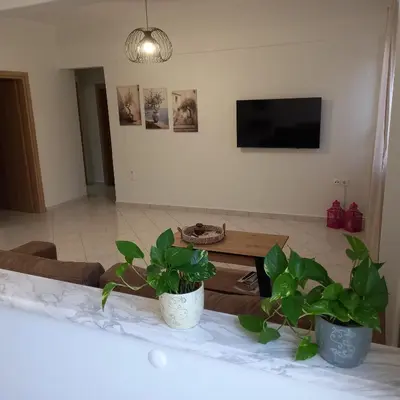 a living room with two potted plants and a tv at Kornaros House in Chania Town