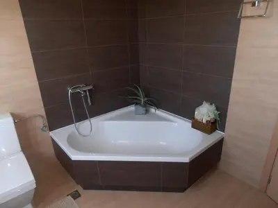 a bath tub in a bathroom with a toilet at Villa Lofos in Perivólia