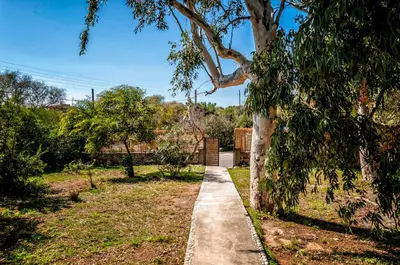 a walkway next to a tree in a park at Myrtia Beach House in Tersanas