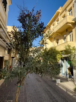 a street with trees in front of a building at Deluxe Center Suites in Chania Town