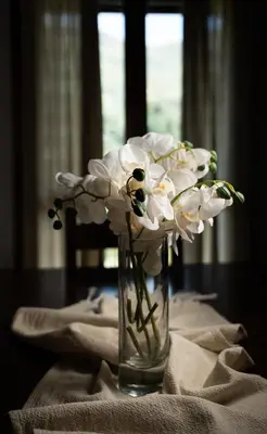a vase filled with white flowers sitting on a table at Villa Eleni Meskla in Mesklá