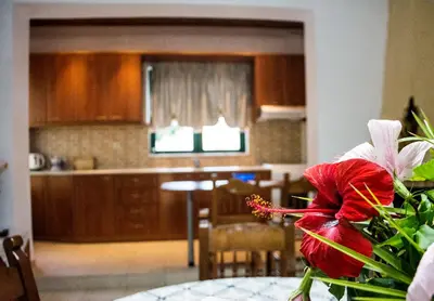 a red flower sitting on a table in a kitchen at Villa Dimitris in Kalamitsi Amygdali