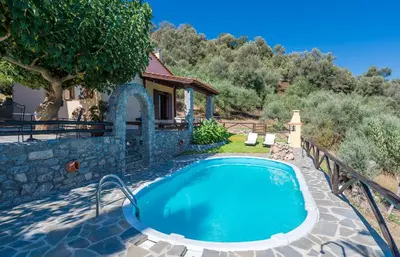 a swimming pool in a yard next to a house at Villa Olive Xrisi in Kafoúros