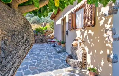 a stone walkway leading to a house with a tree at Villa Olive Xrisi in Kafoúros
