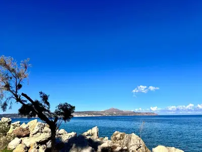a tree on the rocks by the water at Nomas Home, Kalyves Centre Beachfront Sea View in Kalyves