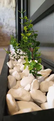 a row of mushrooms with green plants in them at HOLM Ilex & Quercus apartments in Chania Town