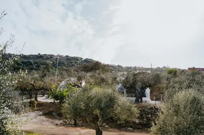 a view of a hill with trees and a house at Olive Dome, Luxury Glamping Dome in Crete in Gavalochori
