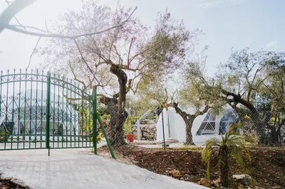 a green fence with a tree next to a sidewalk at Lemon Dome, Luxury Glamping Dome in Crete in Gavalochori