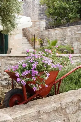 a wheelbarrow filled with pink flowers in a garden at Tzitzifes Stone Mansion in Tzitzifés