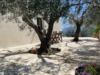 a tree in front of a building with a bench at Petra & Elia in Megála Khoráfia