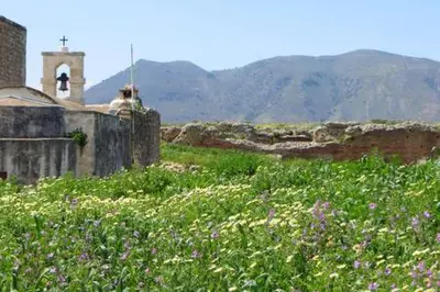 a field of flowers in front of an old building at Elia House in Megála Khoráfia