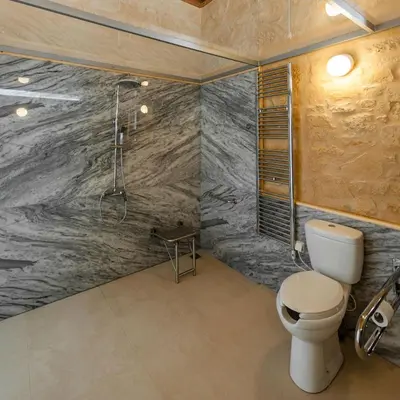 a bathroom with a toilet and a shower at Kaminia Villa in Makhairoí