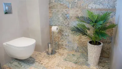 a bathroom with a toilet and a potted plant at Villa Mathea in Kounoupidhianá