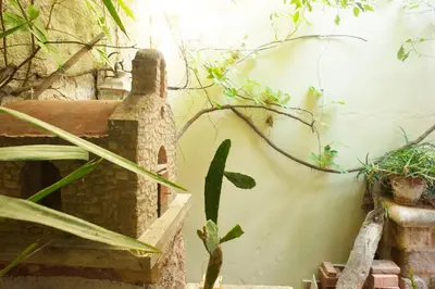 a garden with a building and some plants at Splanzia Boutique Hotel in Chania Town
