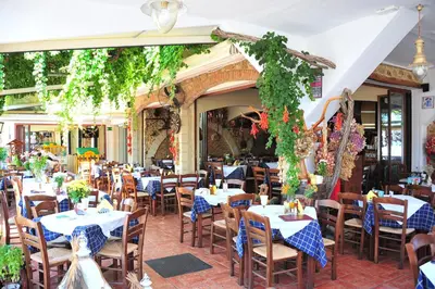 a restaurant with tables and chairs and vines at Mithos Apartments in Agia Marina Nea Kydonias