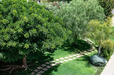 a garden with trees and a brick path at Villa Ismini in Kato Daratso