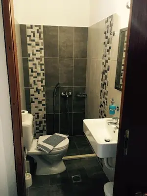 a bathroom with a toilet and a sink at Protopapas Rooms in Loutro