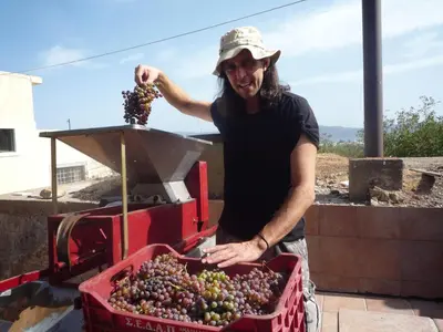 a man standing next to a box of grapes at Hostel Stylianos Kissamos in Kissamos