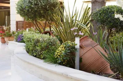 a garden with plants in a large pot at Giannoulis - Santa Marina Plaza (Adults Only) in Agia Marina Nea Kydonias