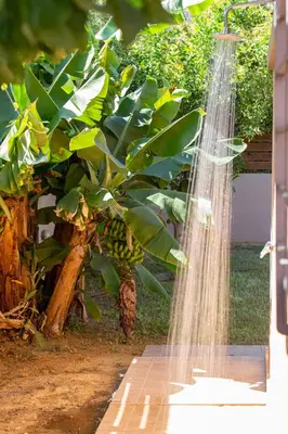 a water hose hooked up to a banana tree at Rea's Sea House in Kato Galatas