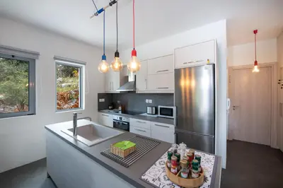 a kitchen with a sink and a refrigerator at Villa di Lusso Agave con Piscina Privata Riscaldata e Jacuzzi in Litsárdha