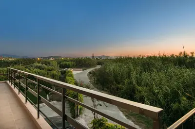a walkway leading through a field of plants at Sirens House in Tavronitis