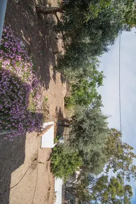 a stone wall with purple flowers on it at Grameno Apartments in Kountoura Selino