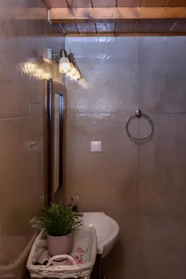 a bathroom with a sink and a potted plant at Alia Stone Villa-Ideal for families-Heated pool in Nohia