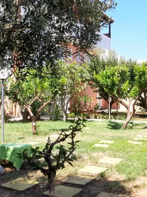 a garden with trees in front of a building at Eden Beach Hotel in Agia Marina Nea Kydonias