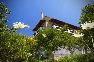 a building with trees and white flowers in the foreground at Villa Christini in Kissamos