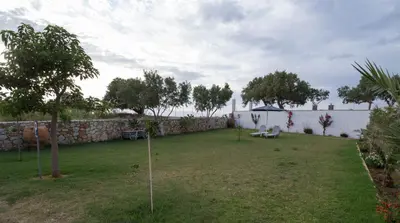 a yard with a wall and trees and a fence at Electra Studios in Gerani Chanion