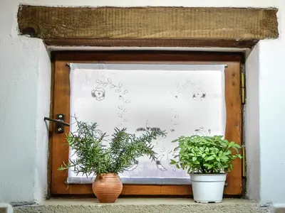 two potted plants sitting on a window sill at Villa in Crete with Vineyard Experience in Kalamítsion Alexándrou