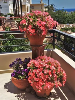 two vases filled with flowers on a balcony at Golden View Villa in Kato Daratso