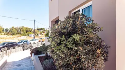 a large green plant on the side of a building at Chrispy Beach Resort, Agia Marina in Agia Marina Nea Kydonias