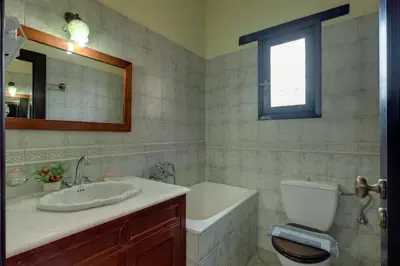 a bathroom with a sink and a toilet and a mirror at Iliopetra in Douliana