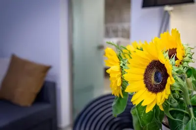 a bouquet of sunflowers in a vase on a couch at Lithinon House in Chania Town