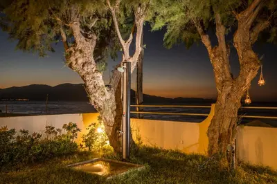 a tree next to a body of water at night at Big Blue Villa in Kisamos, 10 meters from Sea in Kissamos