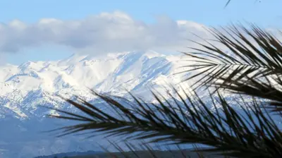 a view of a snow covered mountain with a palm tree at Villa Meli-milon in Kolymvari
