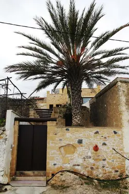 a palm tree in front of a building with a door at Villa Meli-milon in Kolymvari
