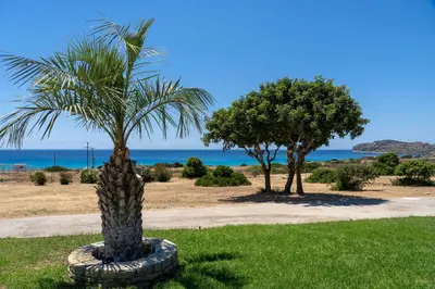 a palm tree in a tire in the grass at Adam in Falasarna