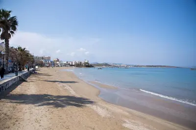 a sandy beach with palm trees and the ocean at Chania Sea View Apartment with Free Private Parking in Chania Town