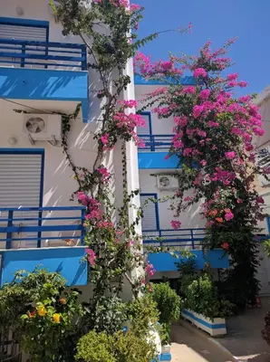 a column with flowers on it in front of a building at Blue Sky in Palaiochóra