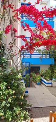 a building with red flowers and plants in front of it at Blue Sky in Palaiochóra