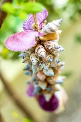 a close up of a pink flower on a plant at Chryssi myHome in Kato Daratso