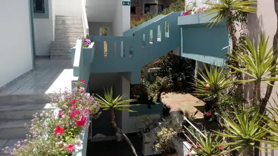 an outdoor stairway with flowers and plants at Hotel Kleopatra in Stalos