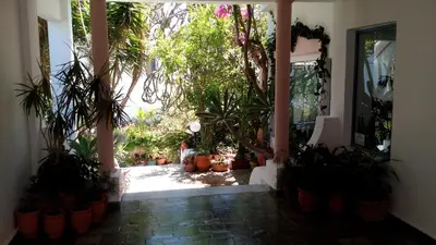 a hallway with potted plants in a house at Hotel Kleopatra in Stalos