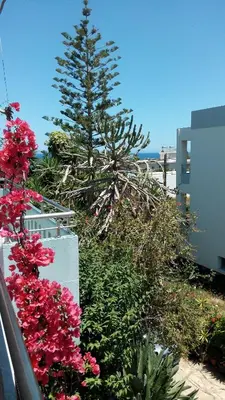 a christmas tree on the side of a building with flowers at Hotel Kleopatra in Stalos